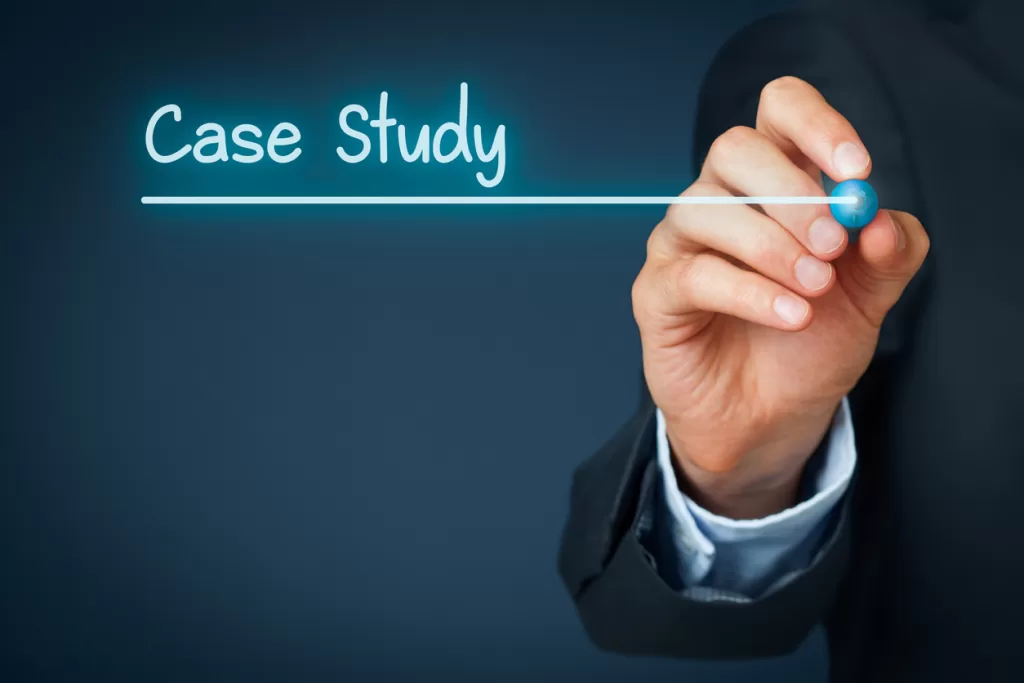 Imaginet Application Development Case Study